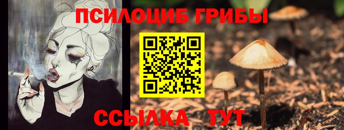Галлюциногенные грибы мухоморы  как найти наркотики  Екатеринбург  Вход с VPN 